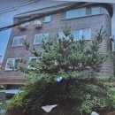 강남교회 이미지