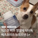 Skin Care | 믹스견 피부 영양제 닥터독 베츠초이스 뉴트리션 S+ 반려견 피부 건강 후기