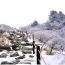 술요일 - 시흥시 | 술요일