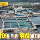 포항집 네이버블로그