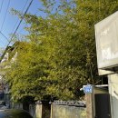 상주시청 | 상주 시청 근처 이색적이고 사진찍기 좋은 카페 ‘우림’ | 빅풋의 힐링 라이프🎋