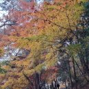반송공원 이미지