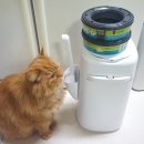 디자인바이펫 | 네이버펫 바우처로 리터락커 리필 구매! 고양이 냄새 잡는 휴지통 후기