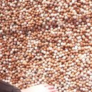 천생산 약수터 이미지