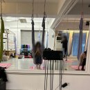 우일에너지 성북점 개방화장실 | 성신여대역플라잉요가 추천 더센트럴무브먼트 로우플라잉요가 체험기