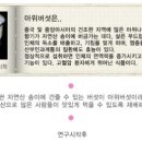 버섯마루 이미지