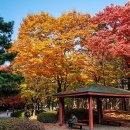 살구골공원 이미지