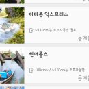 윈터스카이파트너스 | 에버랜드 백신패스 적용, 동계운휴 시설 겨울 아기랑 방문후기