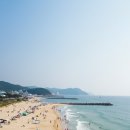 칠갑산농원 | 충청남도 여름 여행지 TOP 5! 시원한 힐링 스팟 모음