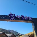 숲속마을파도소리 | 사각사각 겨울의 남쪽으로(다소 늦은 여행기 후기)