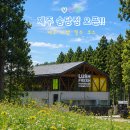 제주이야기송당점 | 러쉬 제주 송당점 오픈! 익스클루시브 한라산 배쓰밤부터 돌하르방 페이셜솝까지