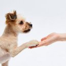 중부-현장-중부-468 이미지