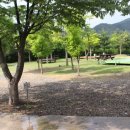 수하리 캠핑파크 이미지