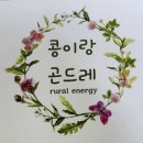 콩이랑 곤드레 이미지