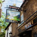 도브민박 이미지