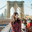 니스타일스냅