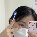와이지몰 이미지