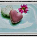 광주동물약국 이미지