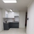 대진화학 이미지