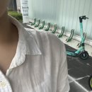 [노드리] 노들섬 서포터즈 🌳노드리🌳 합격 후기
