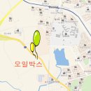 서수원주유소 이미지