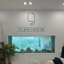 캣플 | 고양이 카페 광교 캣플 방문 후기