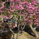 태림농원 이미지