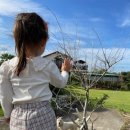 초시농장 이미지