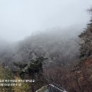 바람꽃공원 이미지