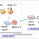 불교 T.V에서 만난 (이상지 박사님)은 이런분.&lt;대덕연구 개발특구&gt; 이미지