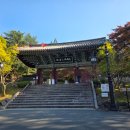 경주문화재해설 | 아이랑 경주 여행 코스 불국사 해설 예약,시간,주차