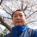 낙동제방 서부주유소 맞은편 이미지