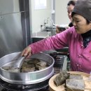문영순농장 네이버블로그