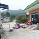 오생1리 Daum카페