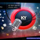 금영 이미지