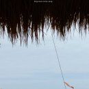 브리사 마리나 | [고성] 강원도 고성 송지호 해수욕장 알록달록한 컬러의 오션뷰 카페 ‘브리사마리나‘ 내돈내산 방문 후기