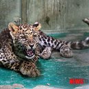 전주동물원 이미지