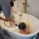 끌리몽드 이미지