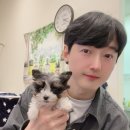멍벤져스 이미지