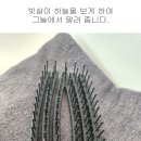 린앤헤어 이미지