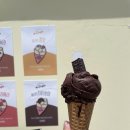 매그넘