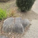 화원목장 이미지