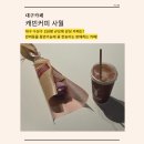 150평 규모에 대형 카페ㅣ반려동물 동반 가능ㅣ애플파이 맛집에 꽃 한송이 판매까지ㅣ캐빈커피 사월 후기