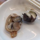 해동조개구이육해공무한리필