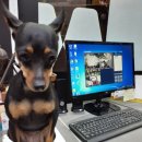 멍멍회관 이미지