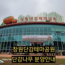 단감상회 이미지