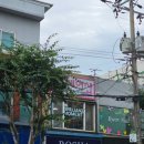 로샤속초
