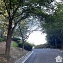 (사)에스디워크 동행 | 포항) 체험형 랜드마크 스페이스워크 도전
