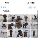 랄라독 이미지