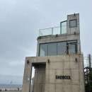 인생육반 | 새물 제주애월카페 제주서쪽카페 제주오션뷰카페 내돈내산